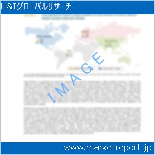 市場と産業調査レポートのイメージ